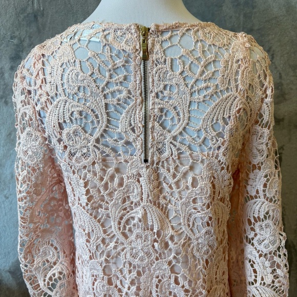Romantic Rosette Coquette Lace Embroidered Elegant Pink Dress Sz 8 - Picture 8 of 12